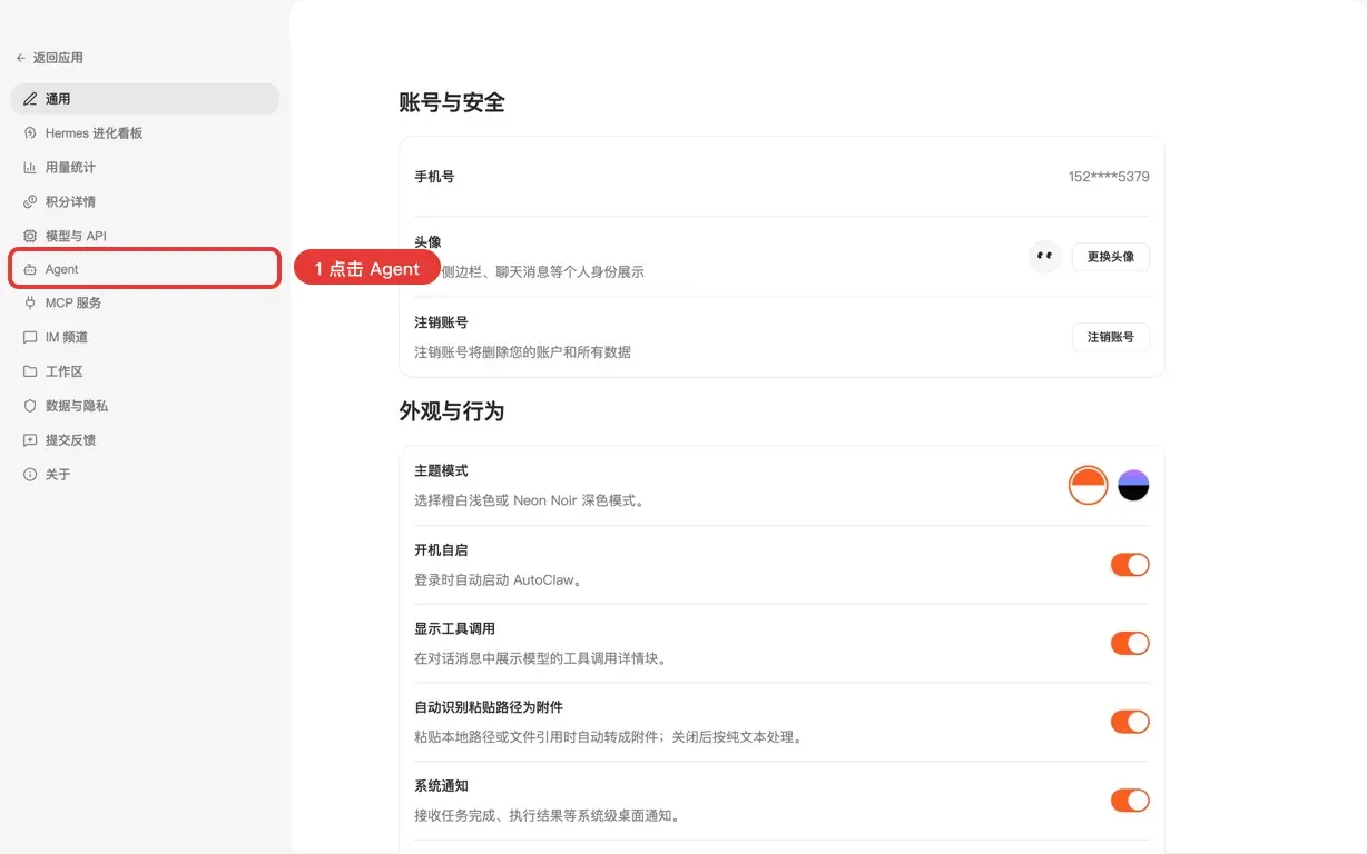 步骤 1:设置 → Agent